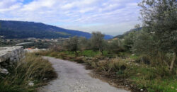 Old House for Sale Bchelleli Jbeil Housing Around Area 80Sqm.The Area of the land is 5582 Sqm