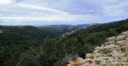 Land for Sale Bejjeh Jbeil Area 8750Sqm