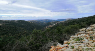 Land for Sale Bejjeh Jbeil Area 8750Sqm