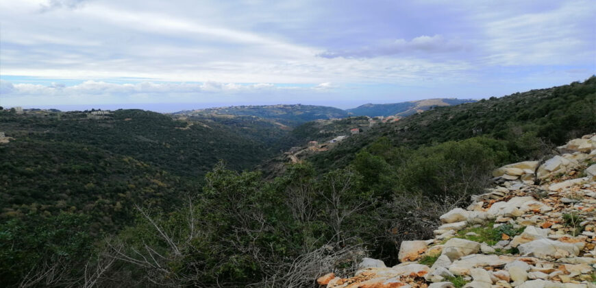 Land for Sale Bejjeh Jbeil Area 8750Sqm