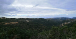 Land for Sale Bejjeh Jbeil Area 8750Sqm