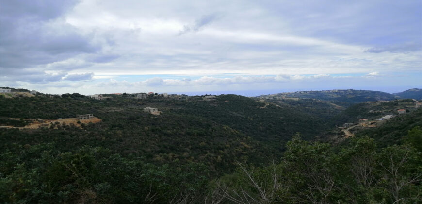 Land for Sale Bejjeh Jbeil Area 8750Sqm