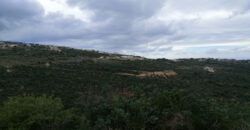 Land for Sale Bejjeh Jbeil Area 8750Sqm