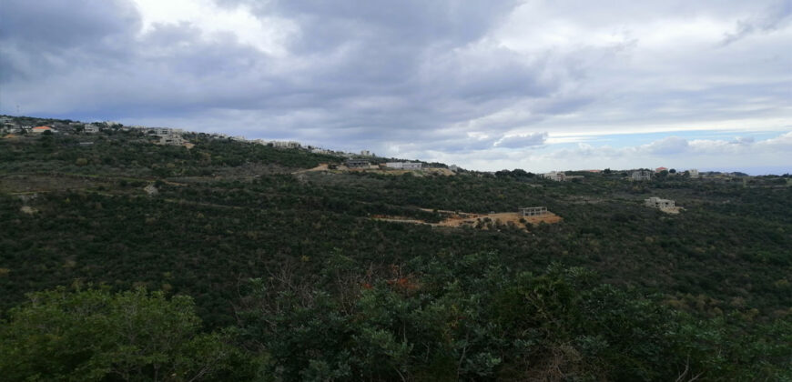 Land for Sale Bejjeh Jbeil Area 8750Sqm