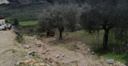 Land for Sale Btaaboura Koura Area 20347Sqm