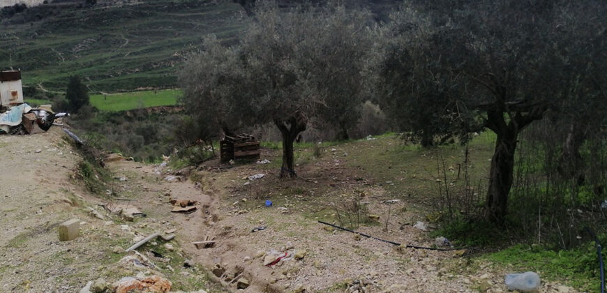 Land for Sale Btaaboura Koura Area 20347Sqm