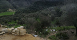 Land for Sale Btaaboura Koura Area 20347Sqm
