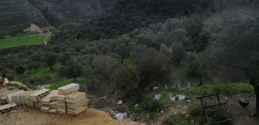 Land for Sale Btaaboura Koura Area 20347Sqm