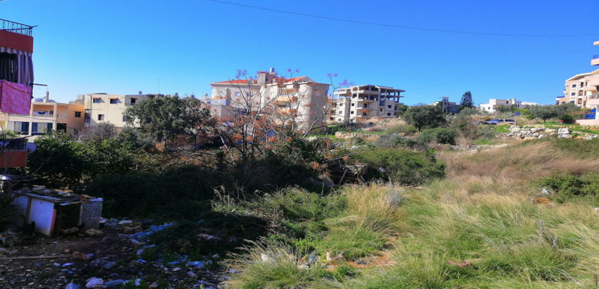 Land for Sale Aamchit Jbeil Area 1420Sqm