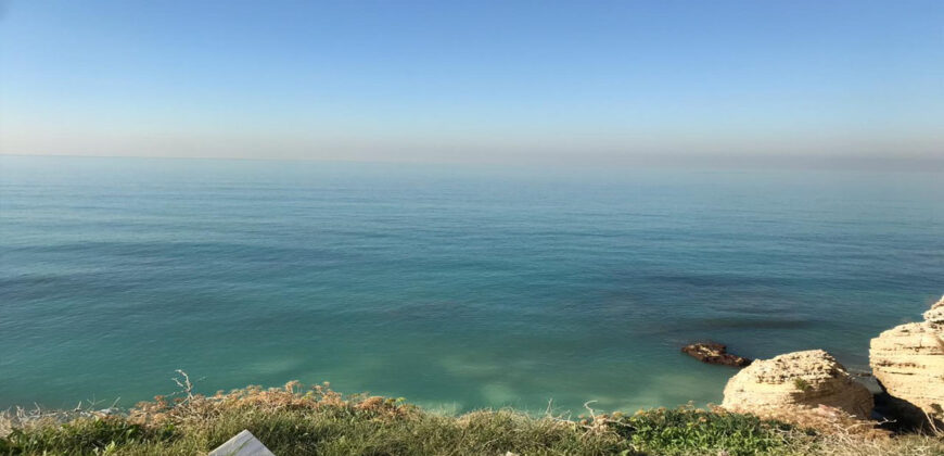 Land for Sale Halat Jbeil Area 899Sqm