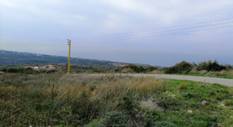 Land for Sale Berbara Jbeil Area 1593Sqm
