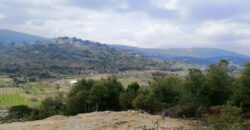 Land for Sale Lehfed Jbeil Area 1864Sqm