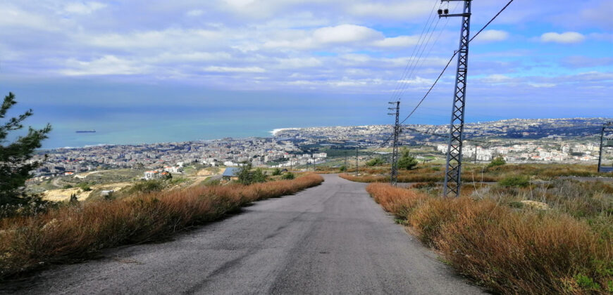 Land for Sale Blat Jbeil Area 2344Sqm
