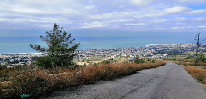 Land for Sale Blat Jbeil Area 2344Sqm