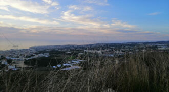 Land for Sale Blat Jbeil Area 5000Sqm