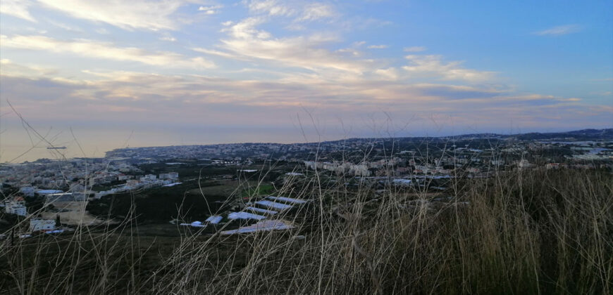 Land for Sale Blat Jbeil Area 5000Sqm