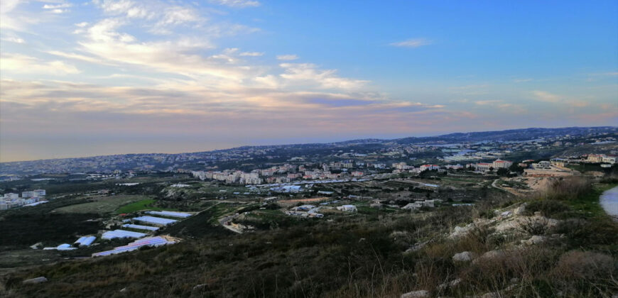 Land for Sale Blat Jbeil Area 5000Sqm