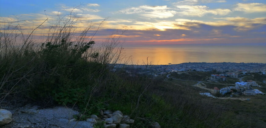 Land for Sale Blat Jbeil Area 5000Sqm