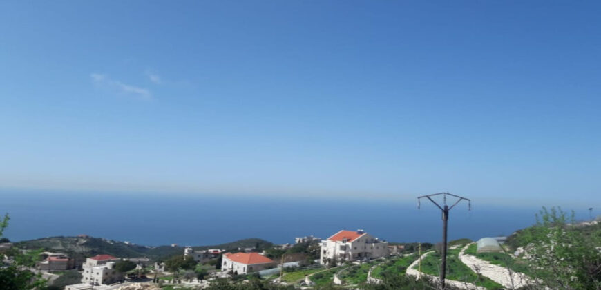 Land for Sale Maad Jbeil Area 775Sqm