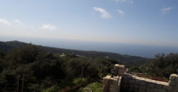 Land for Sale Maad Jbeil Area 775Sqm