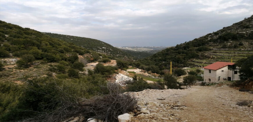 Land for Sale Bejdarfil Batroun Area 10237Sqm