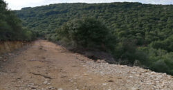 Land for Sale Bejdarfil Batroun Area 10237Sqm