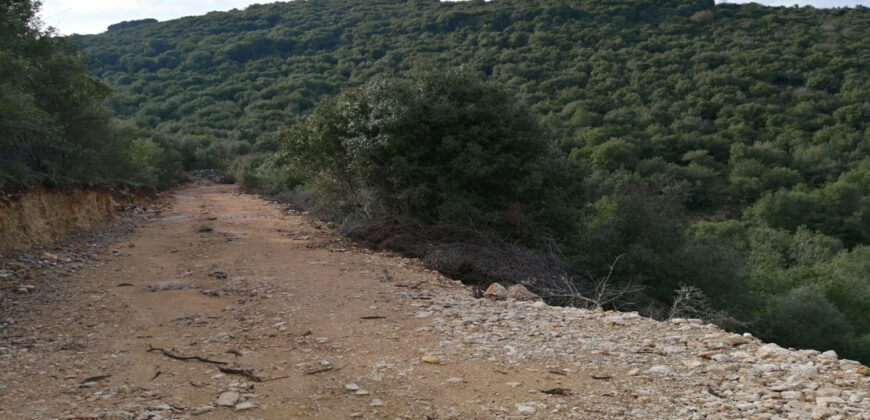 Land for Sale Bejdarfil Batroun Area 10237Sqm