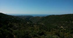 Land for Sale Lehfed Jbeil Area 16335Sqm