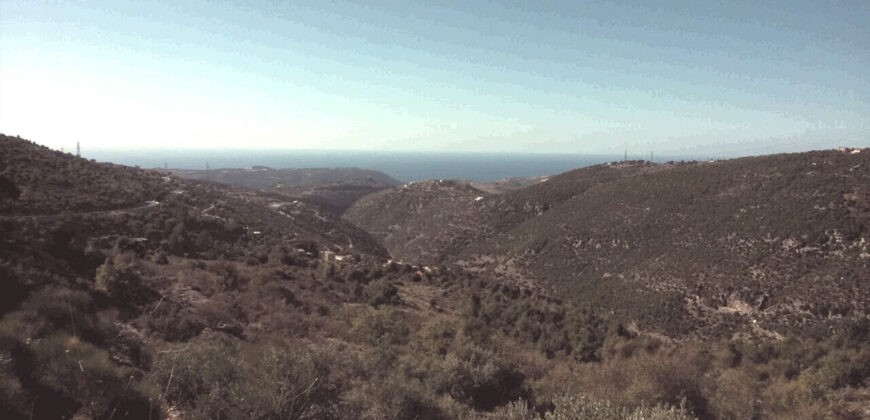 Land for Sale Lehfed Jbeil Area 16335Sqm