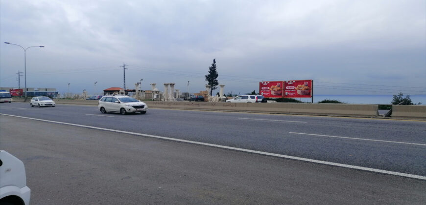 Land for Sale Halat Jbeil Area 1309Sqm