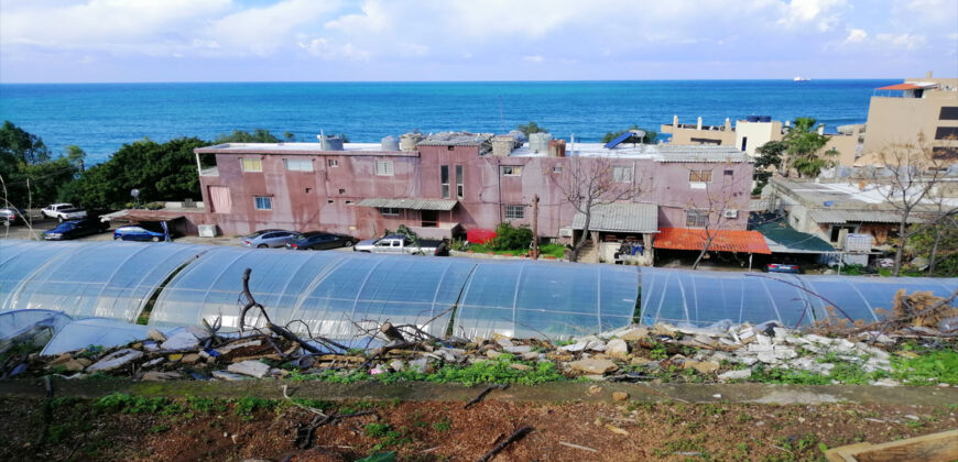 Land for Sale Halat Jbeil Area 1309Sqm