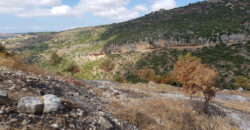 Land for Sale Aabeidat Jbeil Area 1720Sqm