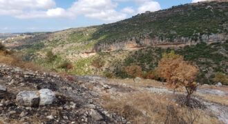Land for Sale Aabeidat Jbeil Area 1720Sqm