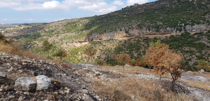Land for Sale Aabeidat Jbeil Area 1720Sqm