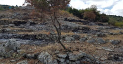 Land for Sale Aabeidat Jbeil Area 1720Sqm