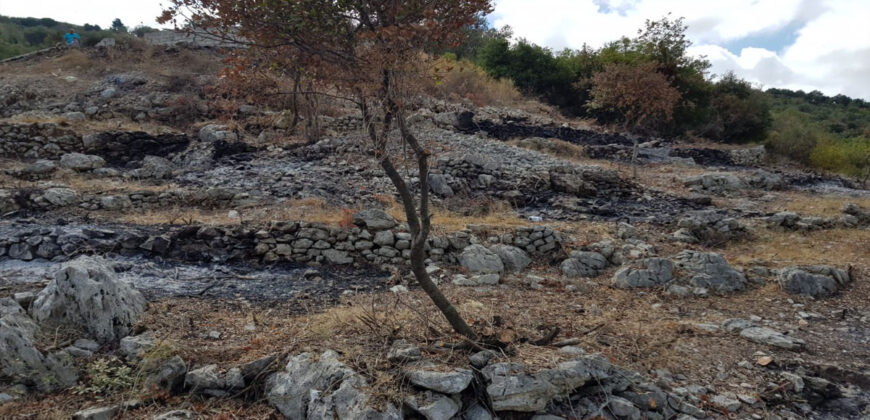 Land for Sale Aabeidat Jbeil Area 1720Sqm