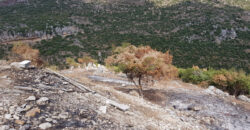Land for Sale Aabeidat Jbeil Area 1720Sqm