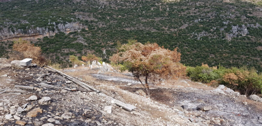 Land for Sale Aabeidat Jbeil Area 1720Sqm