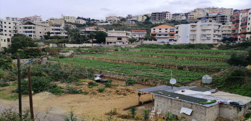 Land for Sale Halat Jbeil Area 7154Sqm