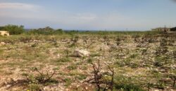 Land for Sale Berbara Jbeil Area 1654Sqm