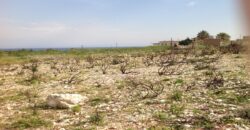 Land for Sale Berbara Jbeil Area 1654Sqm