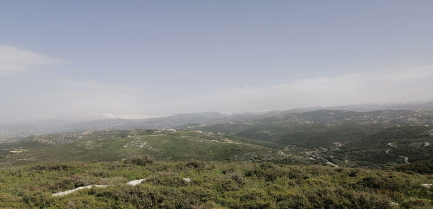 Land for Sale Bejdarfil Batroun Area 1308Sqm