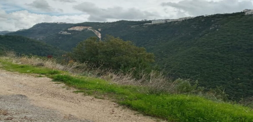 Land for Sale Blat ( Mastita ) Jbeil Area 610Sqm