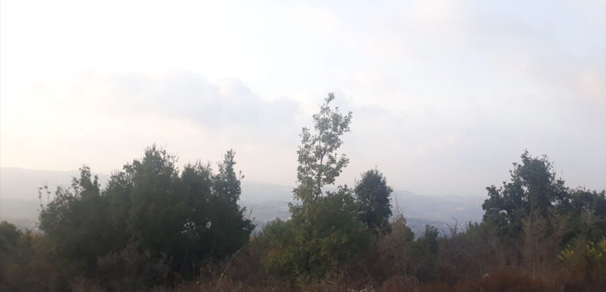 Land for Sale Kfar Chlaiman Batroun Area 3841Sqm