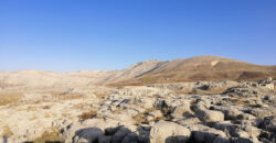 Land for Sale Tannourine – Faouqa ( Laqlouq ) Batroun Area 812Sqm