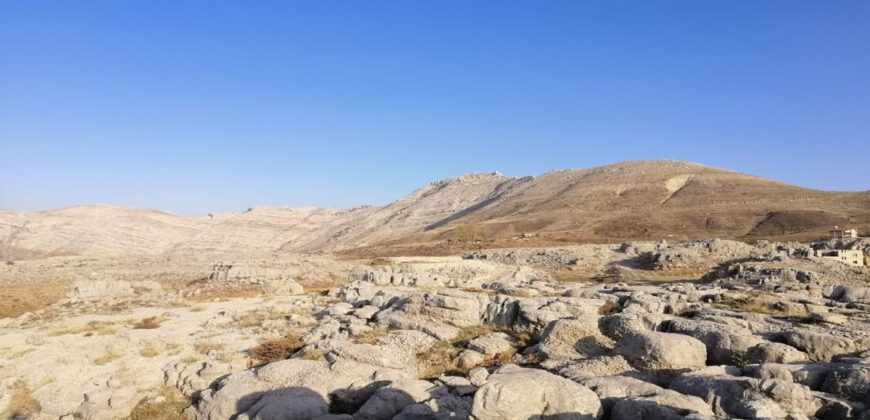 Land for Sale Tannourine – Faouqa ( Laqlouq ) Batroun Area 812Sqm