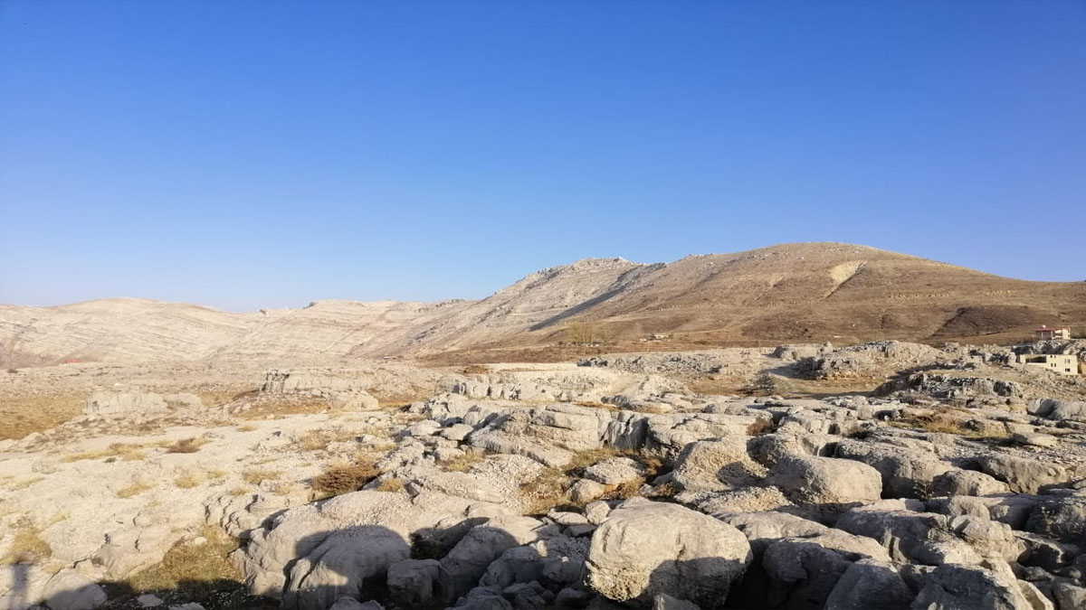 Land for Sale Tannourine – Faouqa ( Laqlouq ) Batroun Area 812Sqm