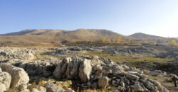 Land for Sale Tannourine – Faouqa ( Laqlouq ) Batroun Area 812Sqm