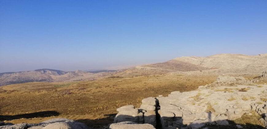 Land for Sale Tannourine – Faouqa ( Laqlouq ) Batroun Area 812Sqm
