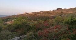 Land for Sale Aalali Batroun Area 1783Sqm